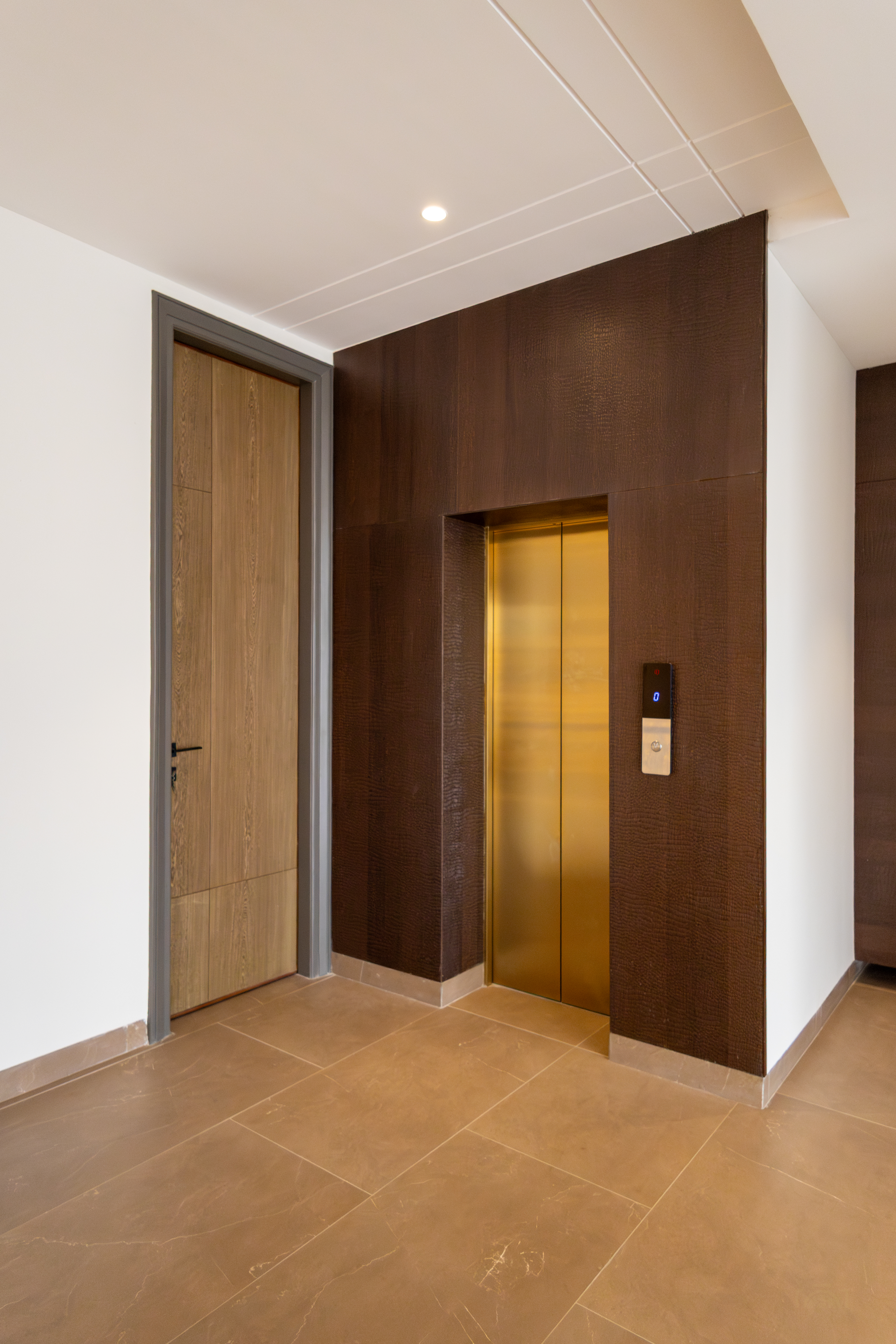 Sector 79 Kothi Private Elevator Foyer